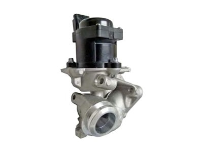EGR Valve - VSEG110