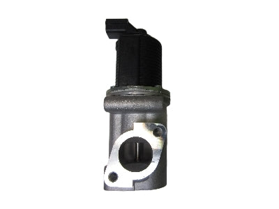 EGR Valve - VSEG167